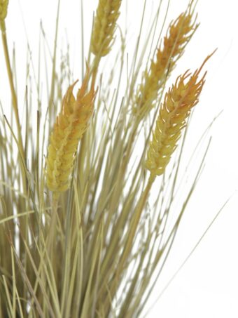 EUROPALMS Wheat ready to harvest, artificial, 60cm