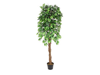 EUROPALMS Ficus Tree Multi-Trunk, artificial plant, 180cm
