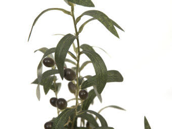 EUROPALMS Olive tree, artificial plant, 68 cm