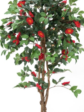 EUROPALMS Camelia red cemented, artificial plant, 180cm