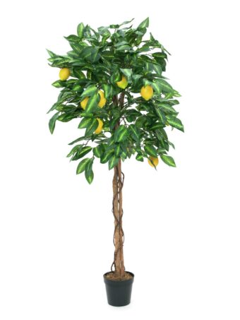 EUROPALMS Lemon Tree, artificial plant, 180cm
