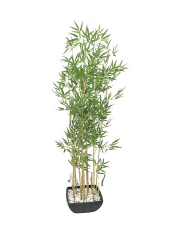 EUROPALMS Bamboo in bowl, artificial, 150cm