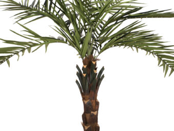 EUROPALMS Kentia  palm tree deluxe, artificial plant, 300cm
