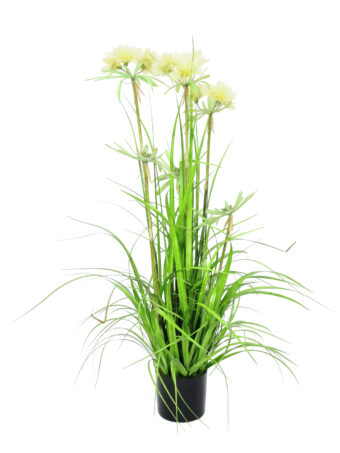 EUROPALMS Star Grass artificial, 120cm