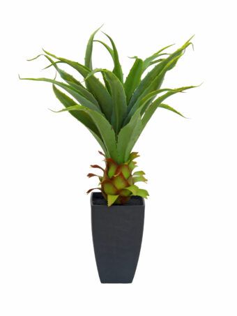 EUROPALMS Agave plant with pot, artificial plant, 75cm