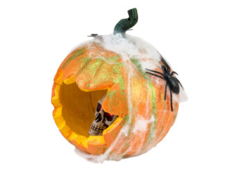 EUROPALMS Halloween Pumpkin in Spider Web, 25cm
