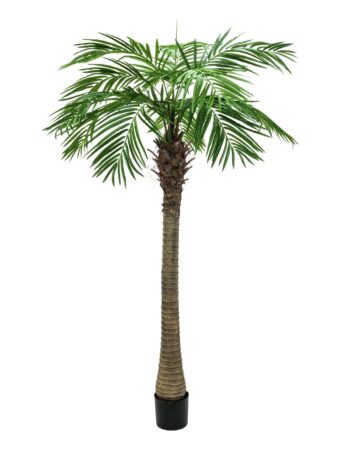 EUROPALMS Phoenix palm tree luxor, artificial plant, 300cm