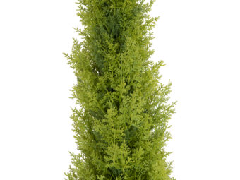 EUROPALMS Cypress, Leyland, artificial plant,  120cm