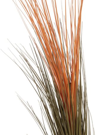 EUROPALMS Reed grass, light brown, artificial,  127cm