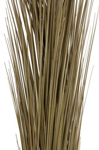 EUROPALMS Reed grass, khaki, artificial,  127cm
