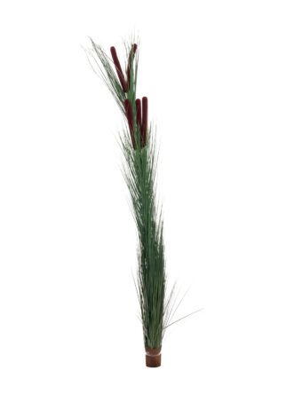 EUROPALMS Reed grass with cattails,dark-green, artificial, 152cm