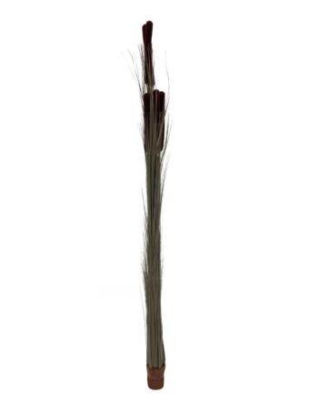 EUROPALMS Reed grass cattails, dark-brown, artificial,  152cm