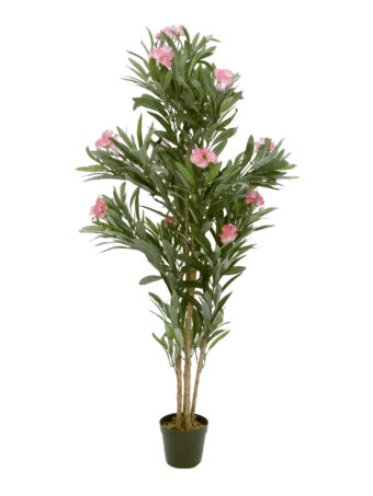 EUROPALMS Oleander tree, artificial plant, pink, 150 cm