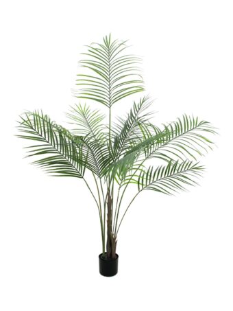 EUROPALMS Areca palm with big leaves, artificial plant, 185cm