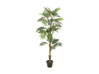 EUROPALMS Parlor palm, artificial plant, 150cm