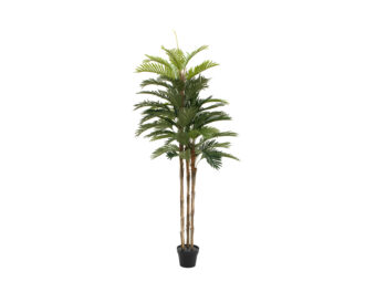 EUROPALMS Kentia palm tree, artificial plant, 150cm