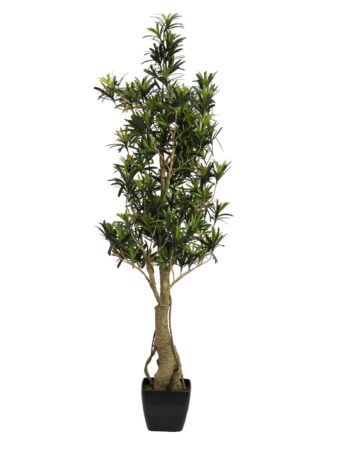 EUROPALMS Podocarpus tree, artificial plant, 115cm