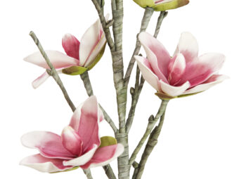 EUROPALMS Magnolia branch (EVA), artificial, white pink