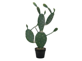 EUROPALMS Nopal cactus, artificial plant, 76cm