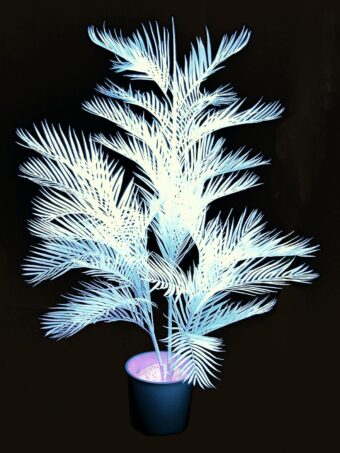 EUROPALMS Kentia palm, artificial, uv-white, 170cm