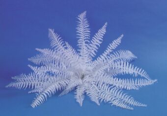 EUROPALMS White boston fern, artificial, 60cm