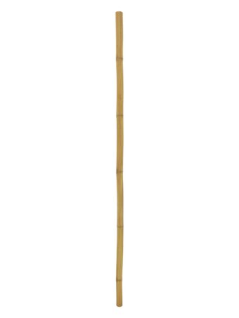 EUROPALMS Bamboo tube, Ã=5cm, 200cm