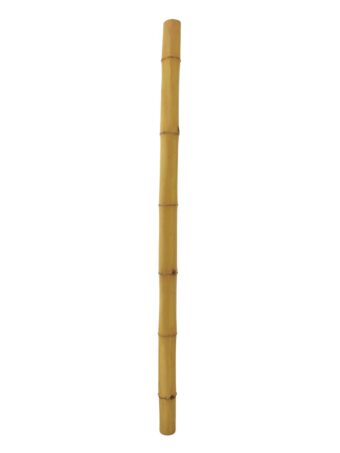 EUROPALMS Bamboo tube, Ã=8cm, 200cm