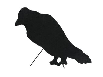 EUROPALMS Silhouette Crow, 63cm