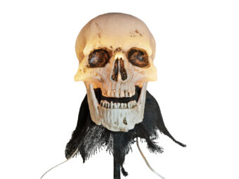EUROPALMS Halloween Skeleton Head with Stake, Set of 3, 29cm