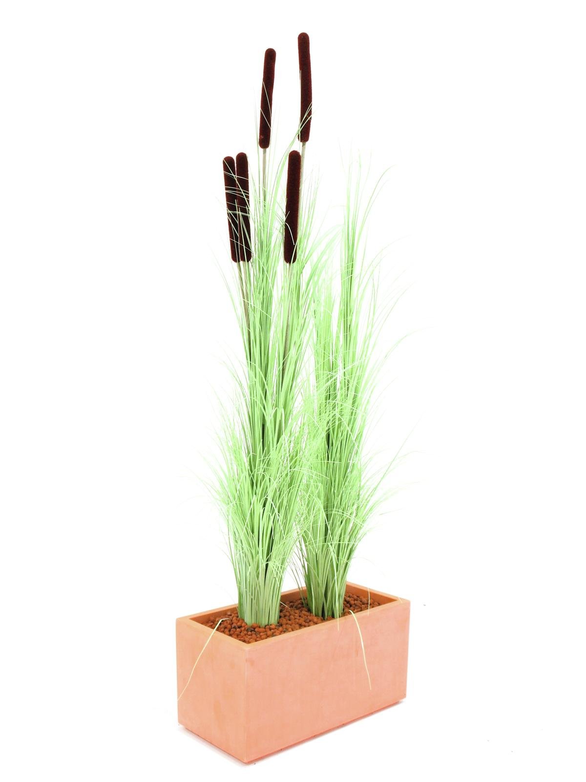 EUROPALMS Reed grass with cattails,light green, artificial, 152cm - Afbeelding 3