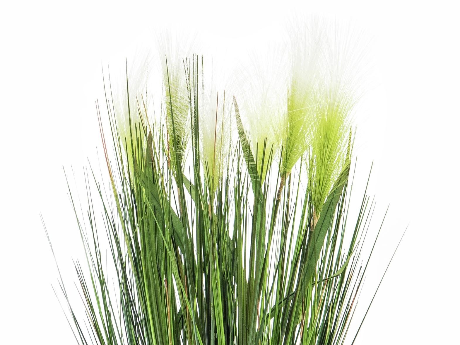 EUROPALMS Feather grass, artificial, white, 60cm