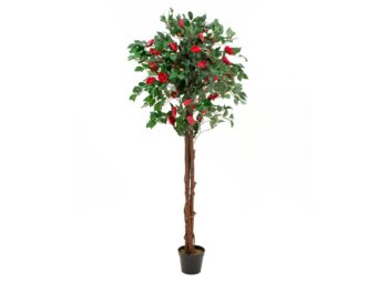 EUROPALMS Camelia red cemented, artificial plant, 180cm