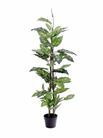EUROPALMS Dieffenbachia, artificial, 120cm