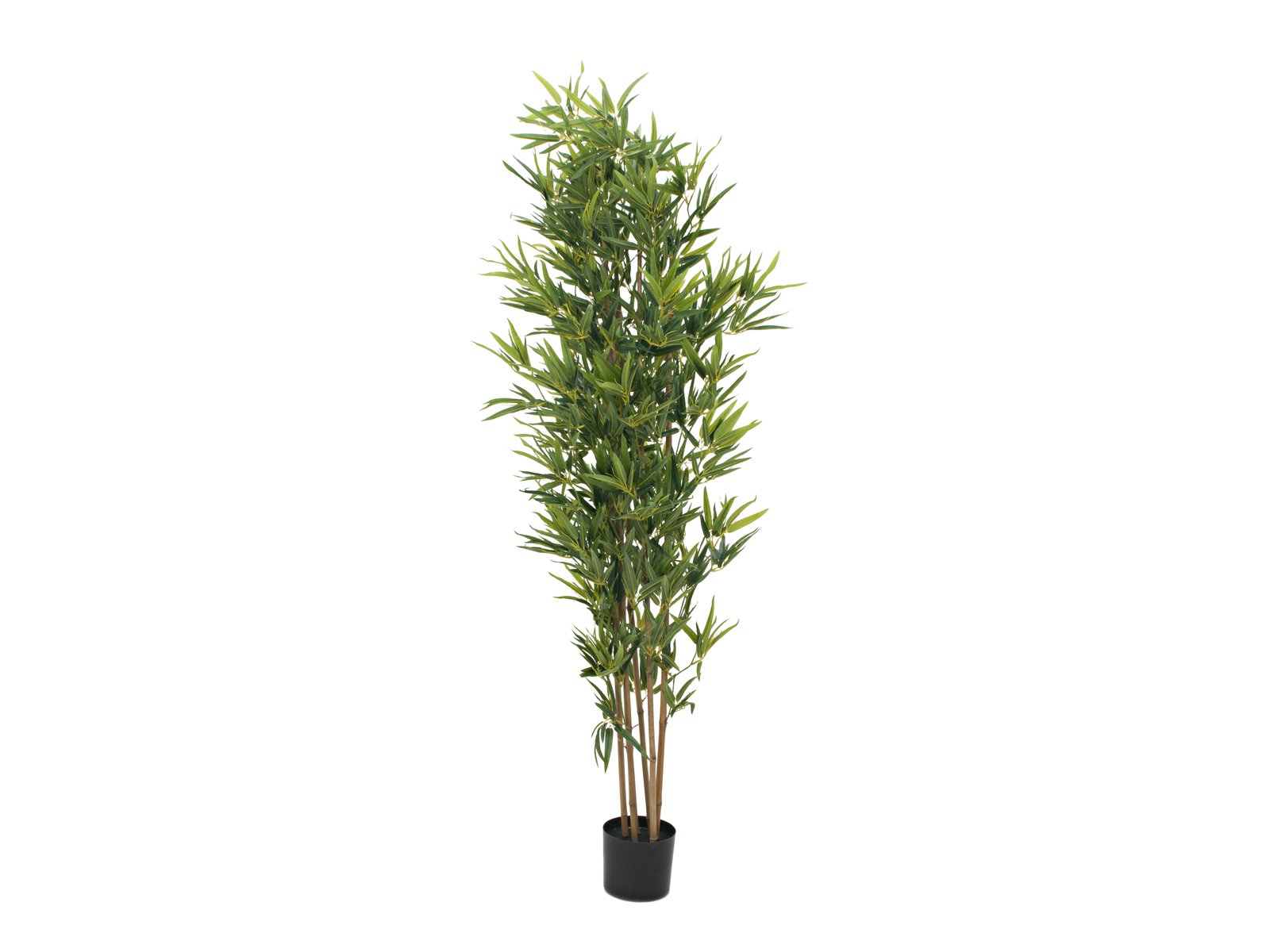EUROPALMS Bamboo deluxe, artificial plant, 180cm