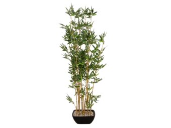 EUROPALMS Bamboo in bowl, artificial, 150cm
