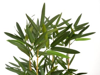 EUROPALMS Bamboo in bowl, artificial, 150cm