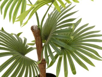 EUROPALMS Fan Palm, artificial plant, 88cm