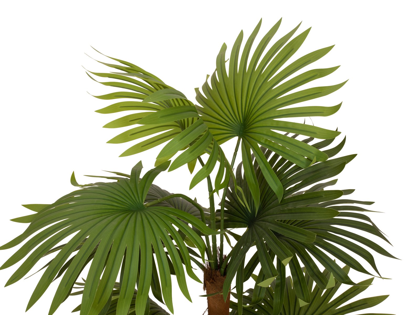 EUROPALMS Fan palm, artificial plant, 130cm