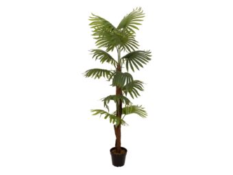 EUROPALMS Fan Palm, artificial plant, 155cm