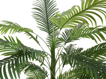 EUROPALMS Areca Palm, 3 trunks, artificial plant, 150cm