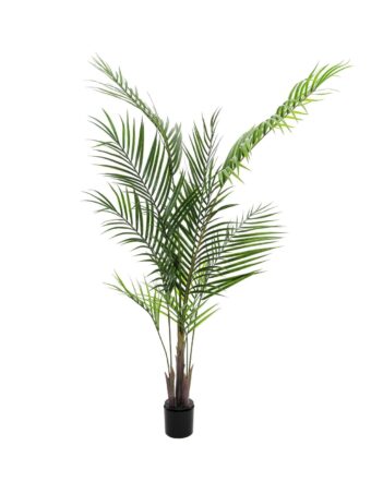 EUROPALMS Areca palm with big leaves, artificial plant, 165cm