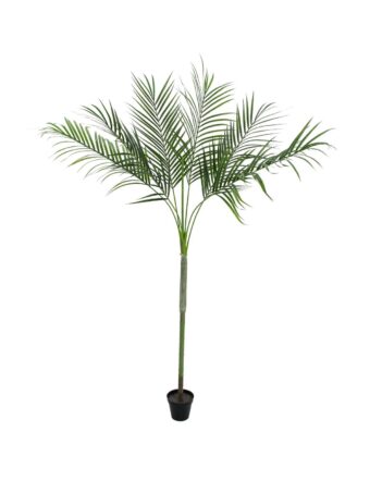 EUROPALMS Areca deluxe, artificial plant, 180cm