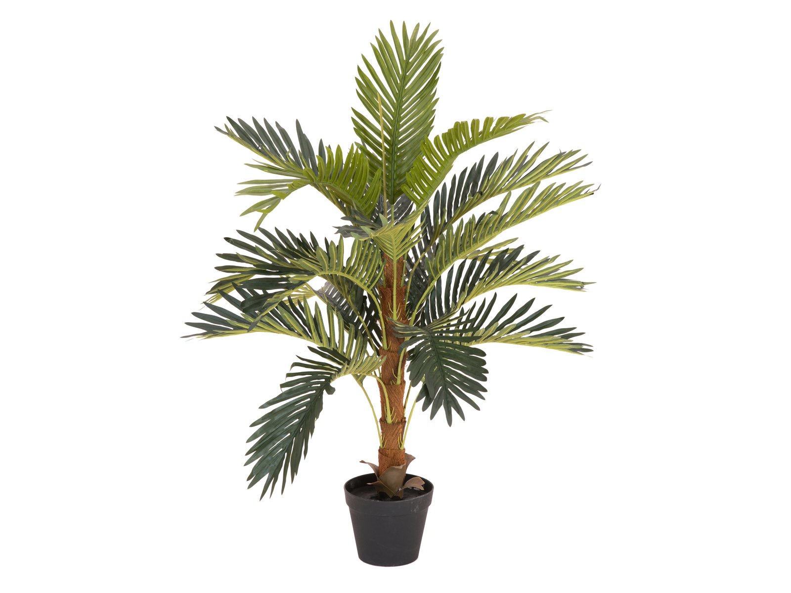 EUROPALMS Coconut palm, artificial plant, 90cm