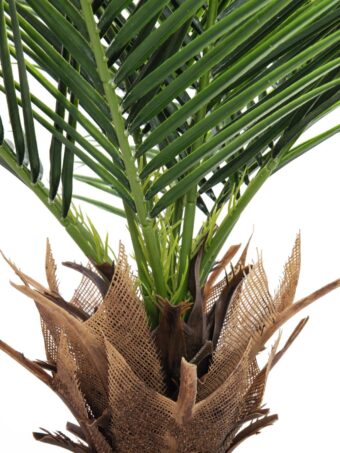 EUROPALMS Phoenix  Palm Deluxe, artificial plant, 220cm