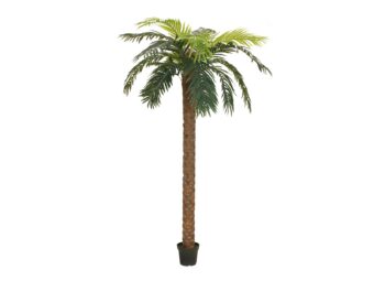 EUROPALMS Phoenix Palm Deluxe, artificial plant, 250cm