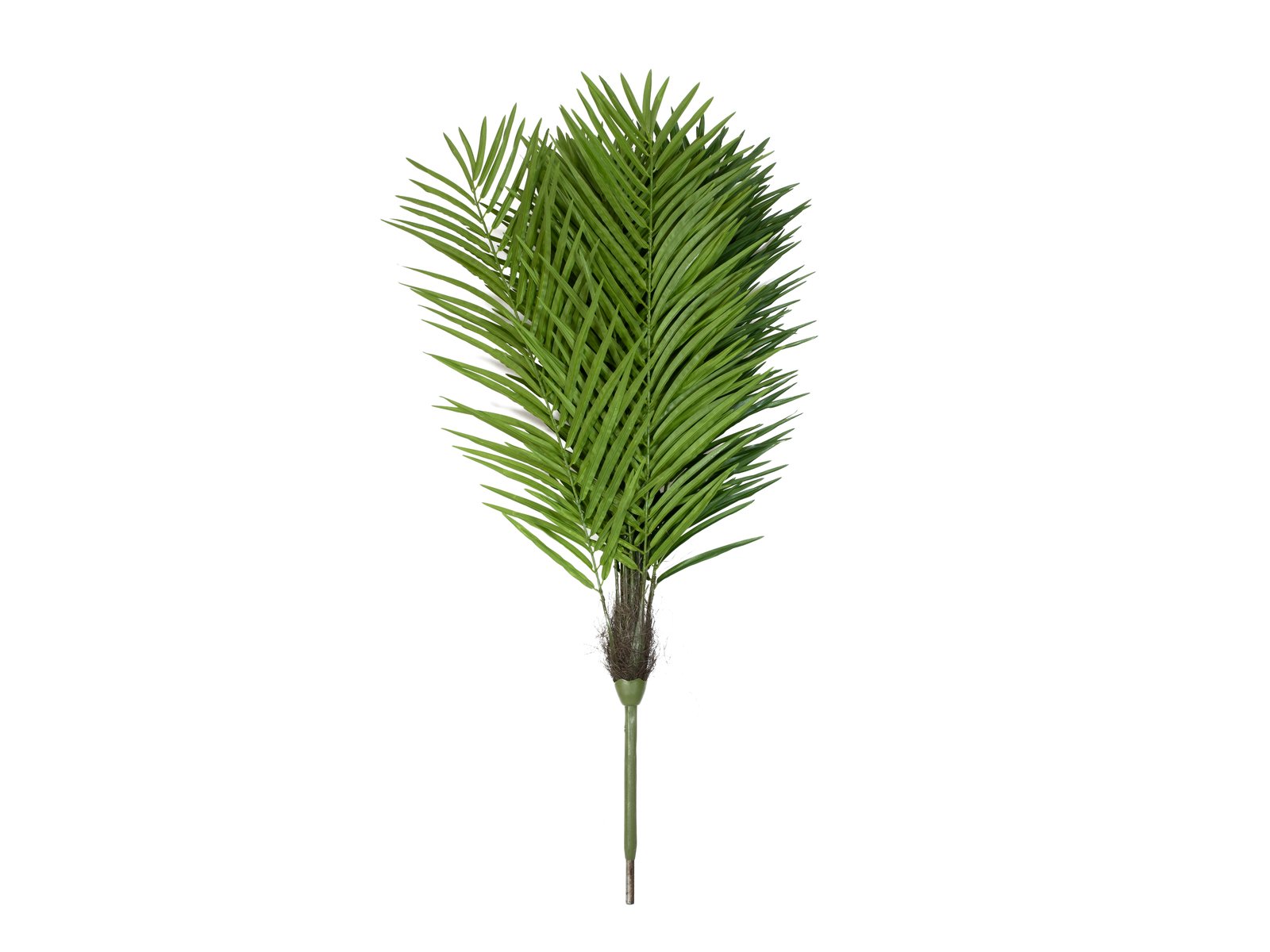 EUROPALMS Phoenix palm tree luxor, artificial plant, 210cm