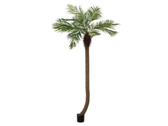 EUROPALMS Phoenix palm tree luxor curved, artificial plant, 240cm
