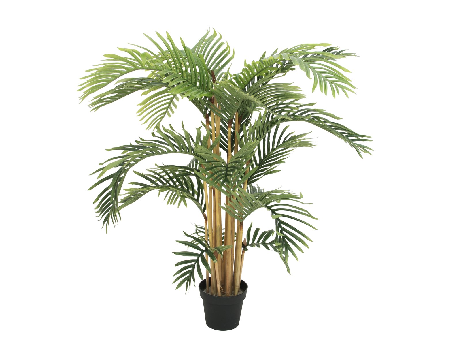 EUROPALMS Kentia palm tree, artificial plant, 140cm