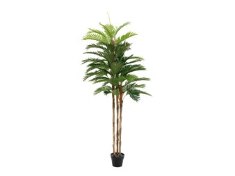EUROPALMS Kentia Palm Tree, artificial plant, 180cm