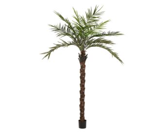 EUROPALMS Kentia  palm tree deluxe, artificial plant, 300cm